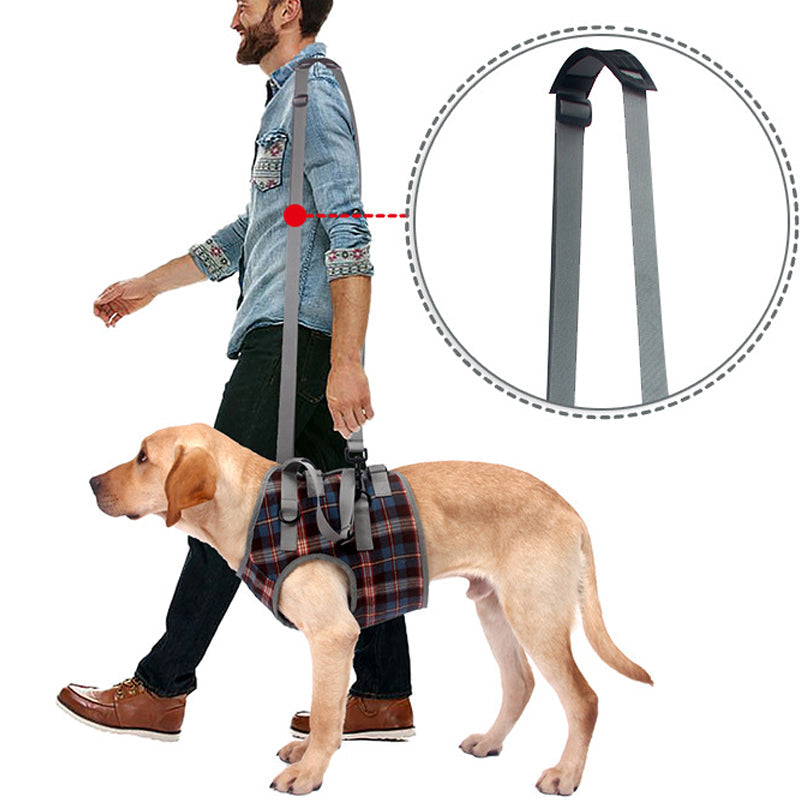 Orthopedic Rear Leg Support Harness for Dogs – Ideal for Arthritis, Hip Dysplasia & Mobility Aid