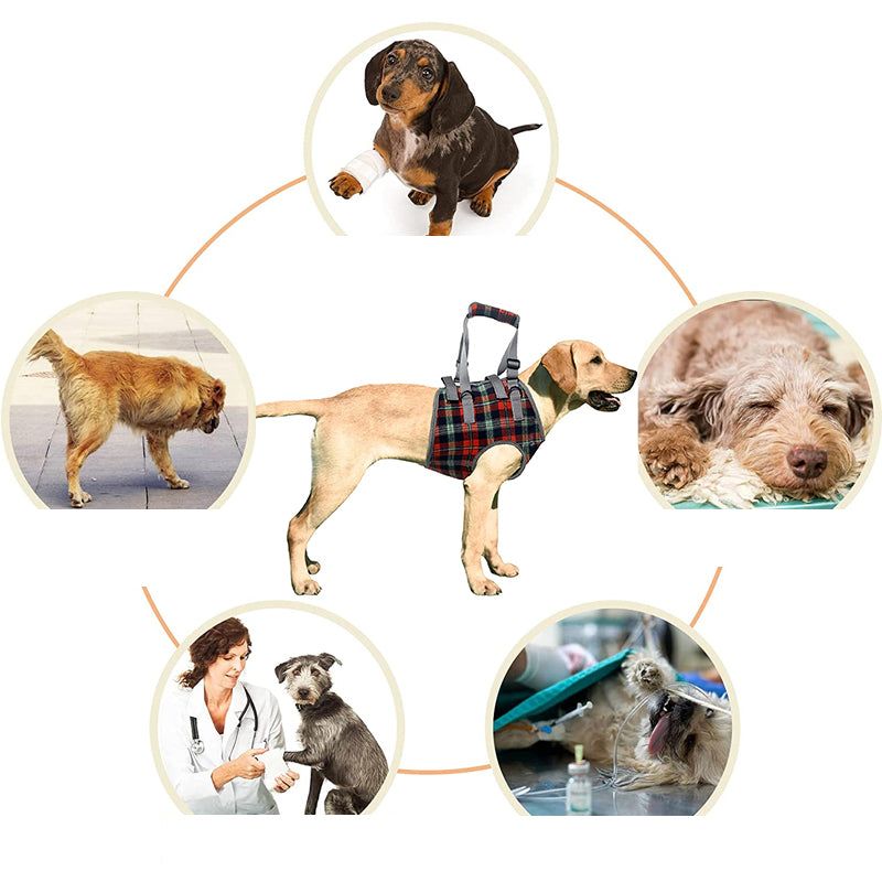 Orthopedic Rear Leg Support Harness for Dogs – Ideal for Arthritis, Hip Dysplasia & Mobility Aid