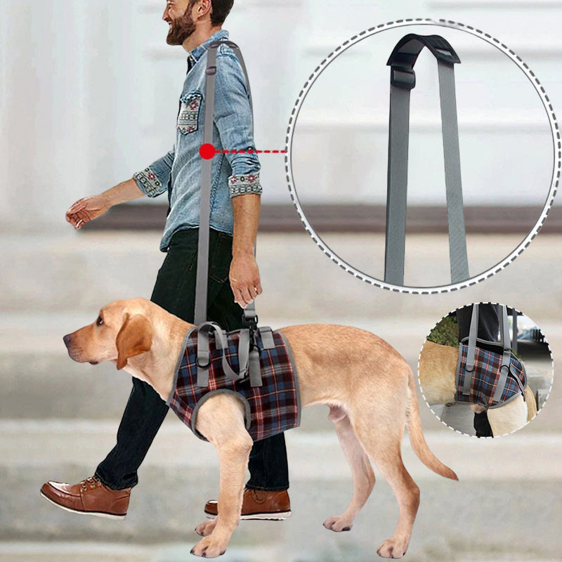 Orthopedic Rear Leg Support Harness for Dogs – Ideal for Arthritis, Hip Dysplasia & Mobility Aid