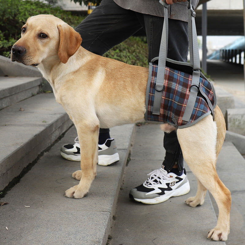 Orthopedic Rear Leg Support Harness for Dogs – Ideal for Arthritis, Hip Dysplasia & Mobility Aid