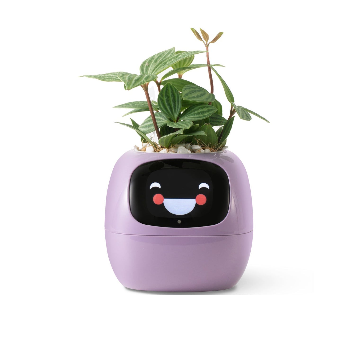 VerdeGlow – Self-Watering Smart Plant Pot | Automatic Irrigation | Modern Indoor Planter