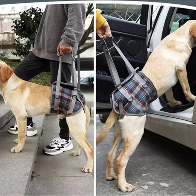 Orthopedic Rear Leg Support Harness for Dogs – Ideal for Arthritis, Hip Dysplasia & Mobility Aid