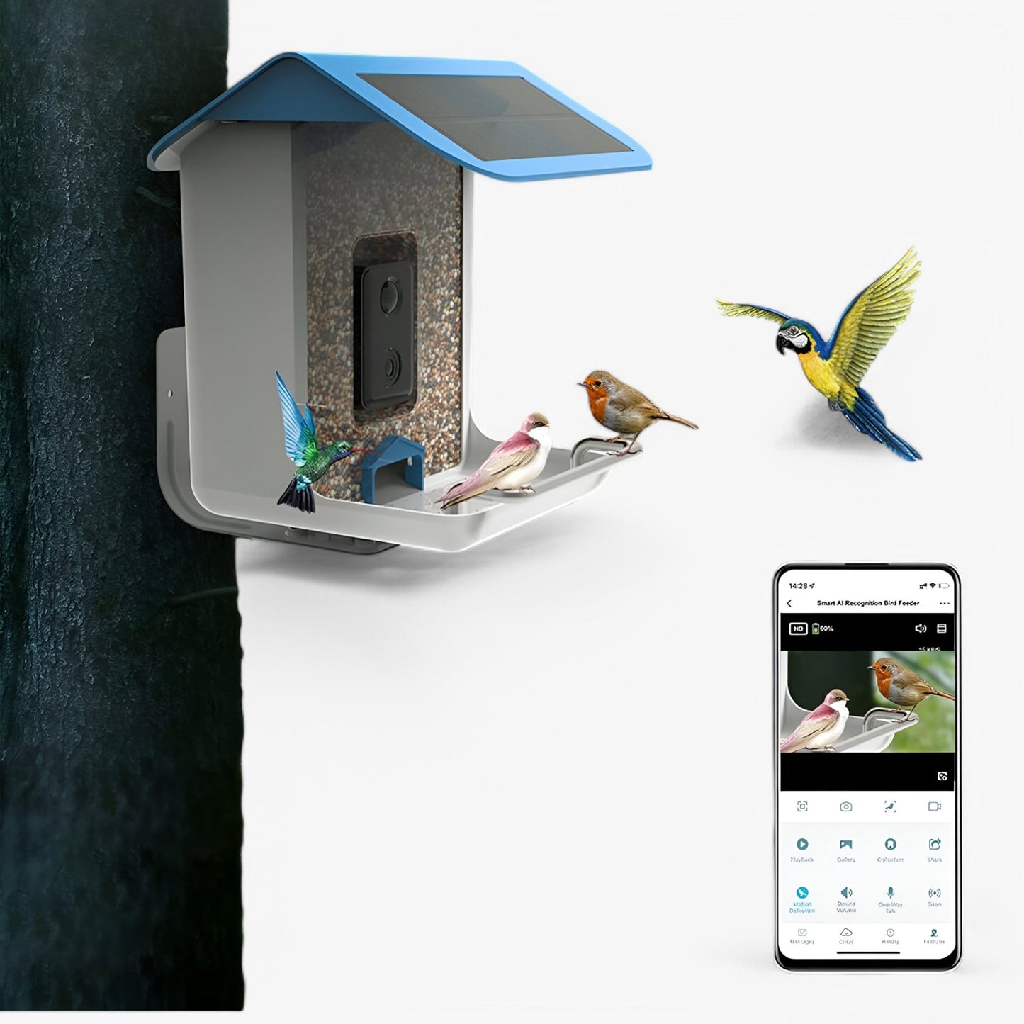 Auxco | Smart Bird Feeder with 1080P HD Camera, AI Bird Recognition & Solar Charging