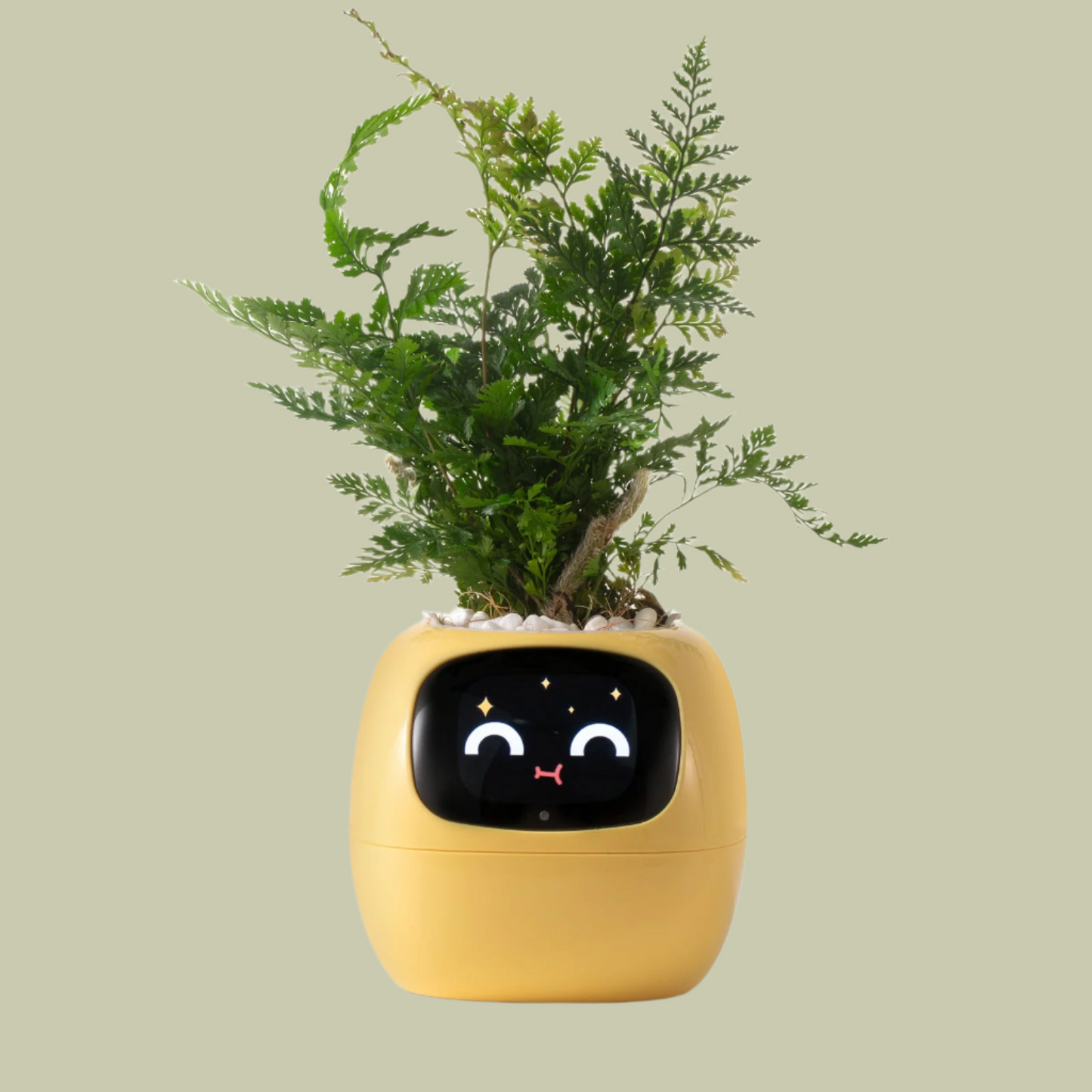 VerdeGlow – Self-Watering Smart Plant Pot | Automatic Irrigation | Modern Indoor Planter