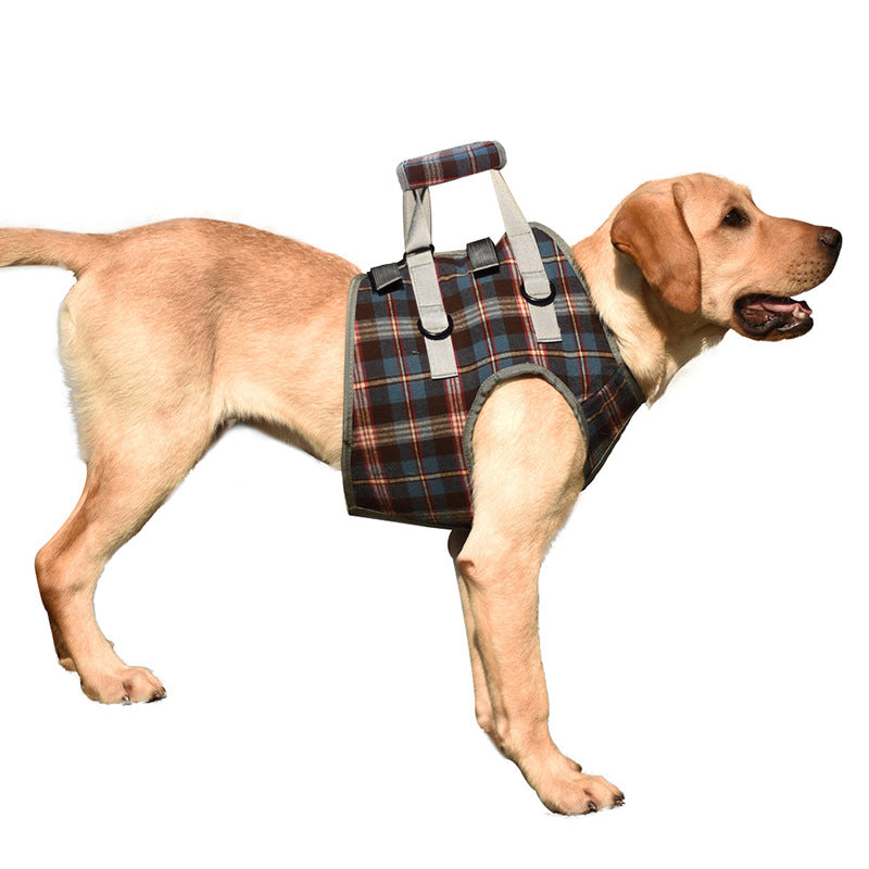 Orthopedic Rear Leg Support Harness for Dogs – Ideal for Arthritis, Hip Dysplasia & Mobility Aid