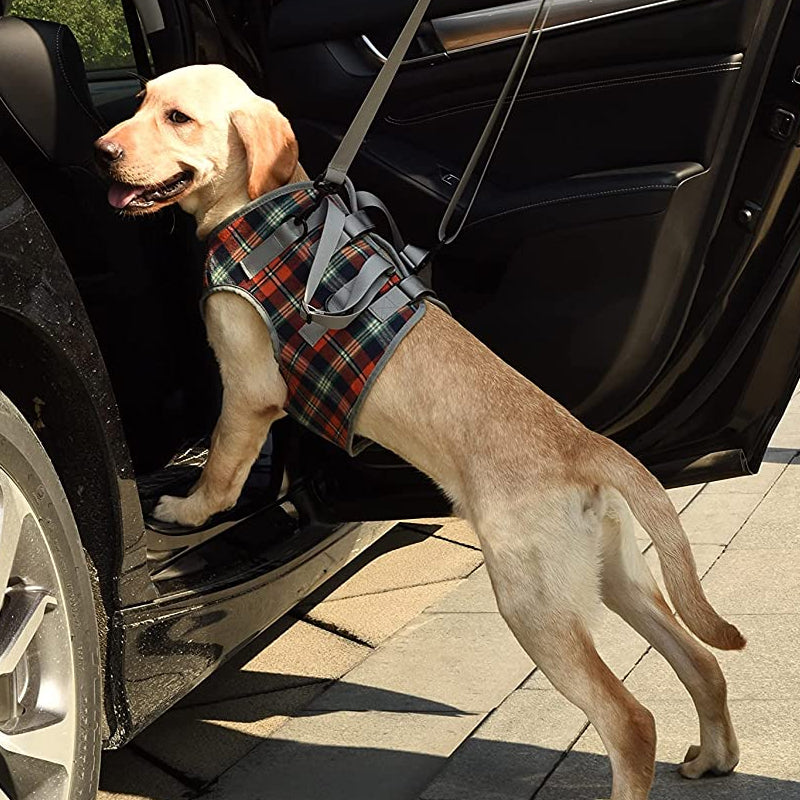 Orthopedic Rear Leg Support Harness for Dogs – Ideal for Arthritis, Hip Dysplasia & Mobility Aid