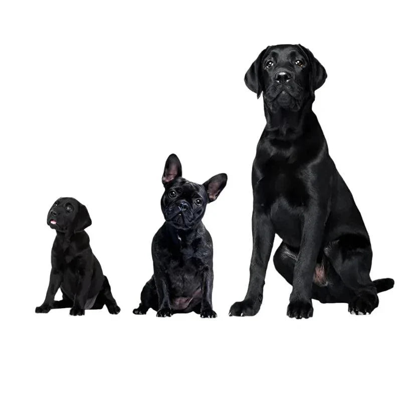 Ultrasonic Dog Repeller – USB Rechargeable Anti-Bark Training Device for All Breeds
