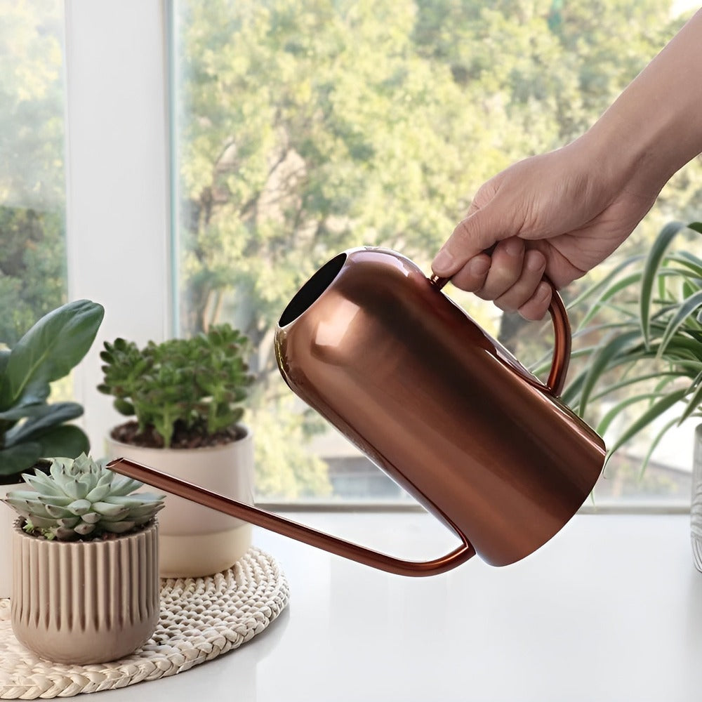 Fluora – 1.5L Stainless Steel Watering Can with Long Spout