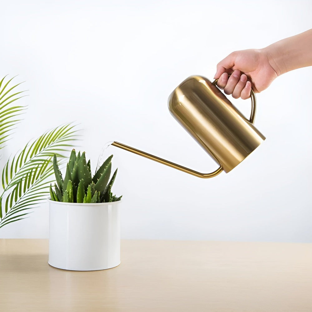Fluora – 1.5L Stainless Steel Watering Can with Long Spout