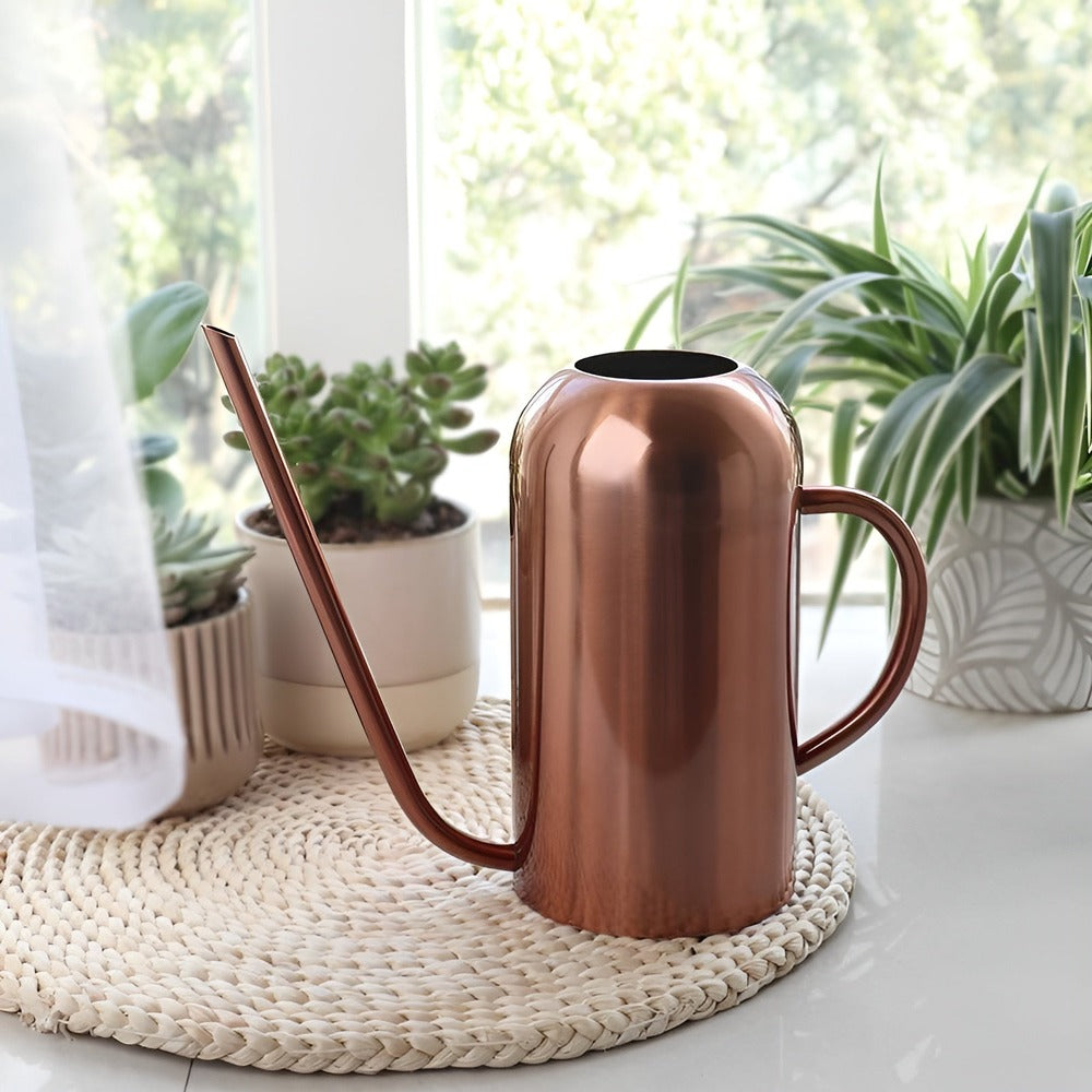 Fluora – 1.5L Stainless Steel Watering Can with Long Spout