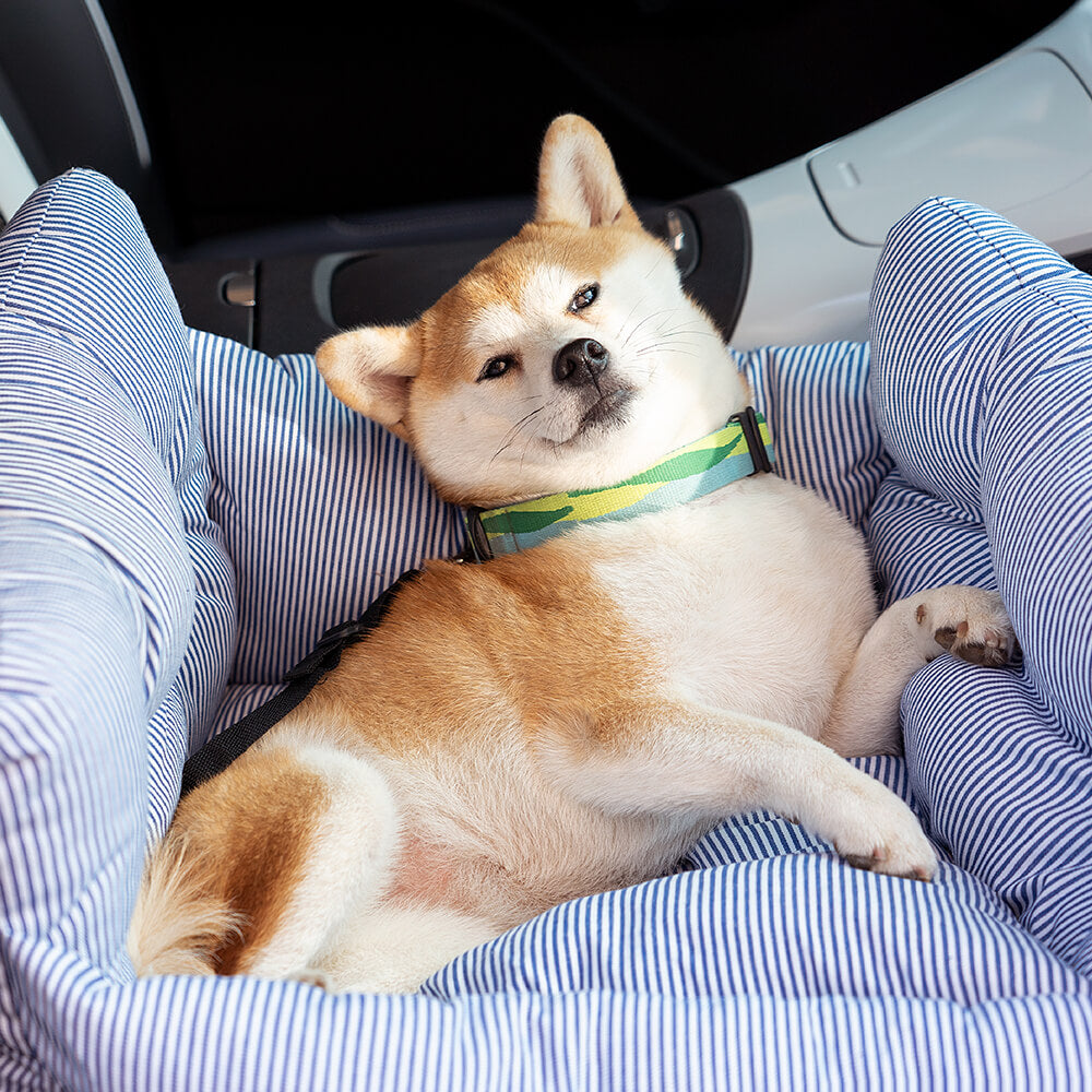 ComfyRide | Dog Car Seat Bed – Safe, Soft & Travel-Friendly Pet Carrier