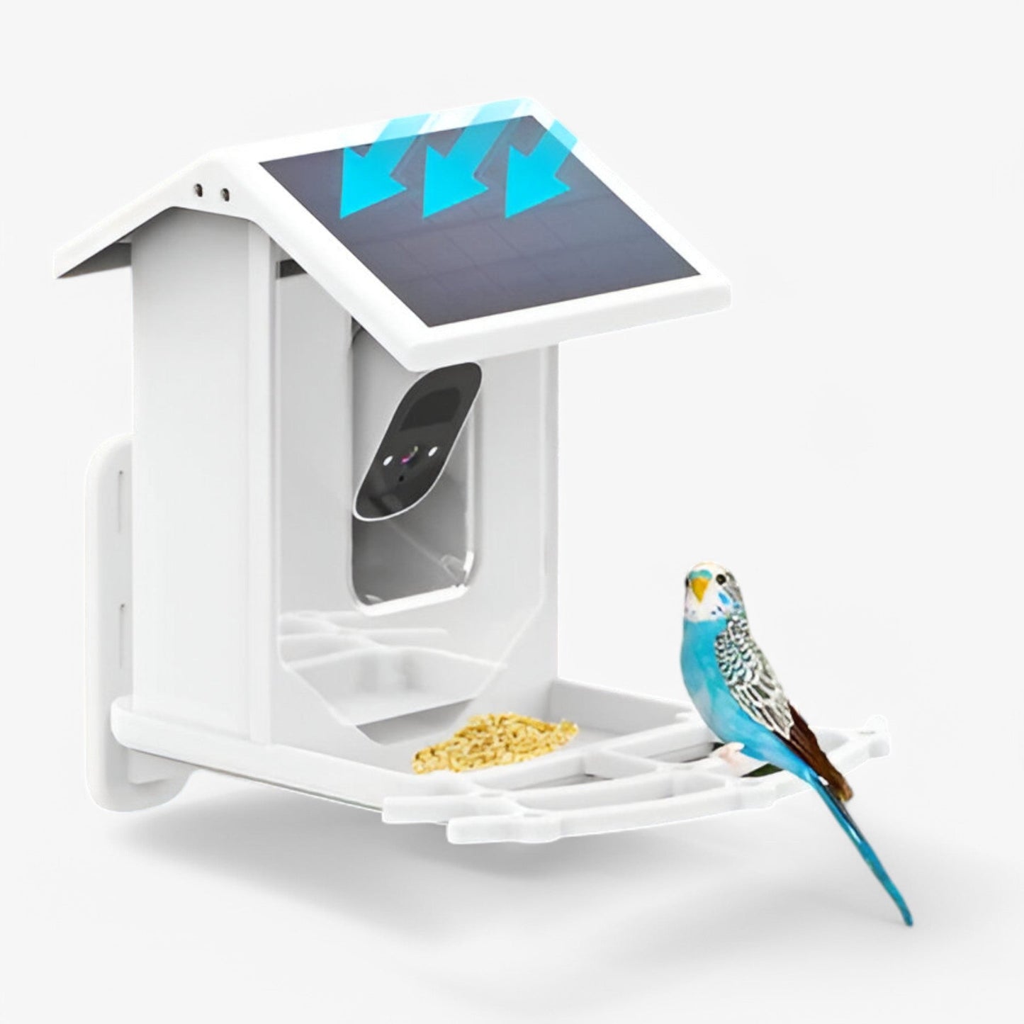 Auxco | Smart Bird Feeder with 1080P HD Camera, AI Bird Recognition & Solar Charging