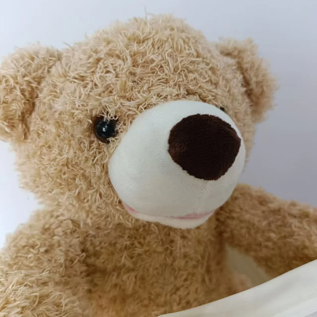 SnuggleBuddy Peek-a-Boo Bear | Interactive Talking Plush Toy for Babies & Toddlers