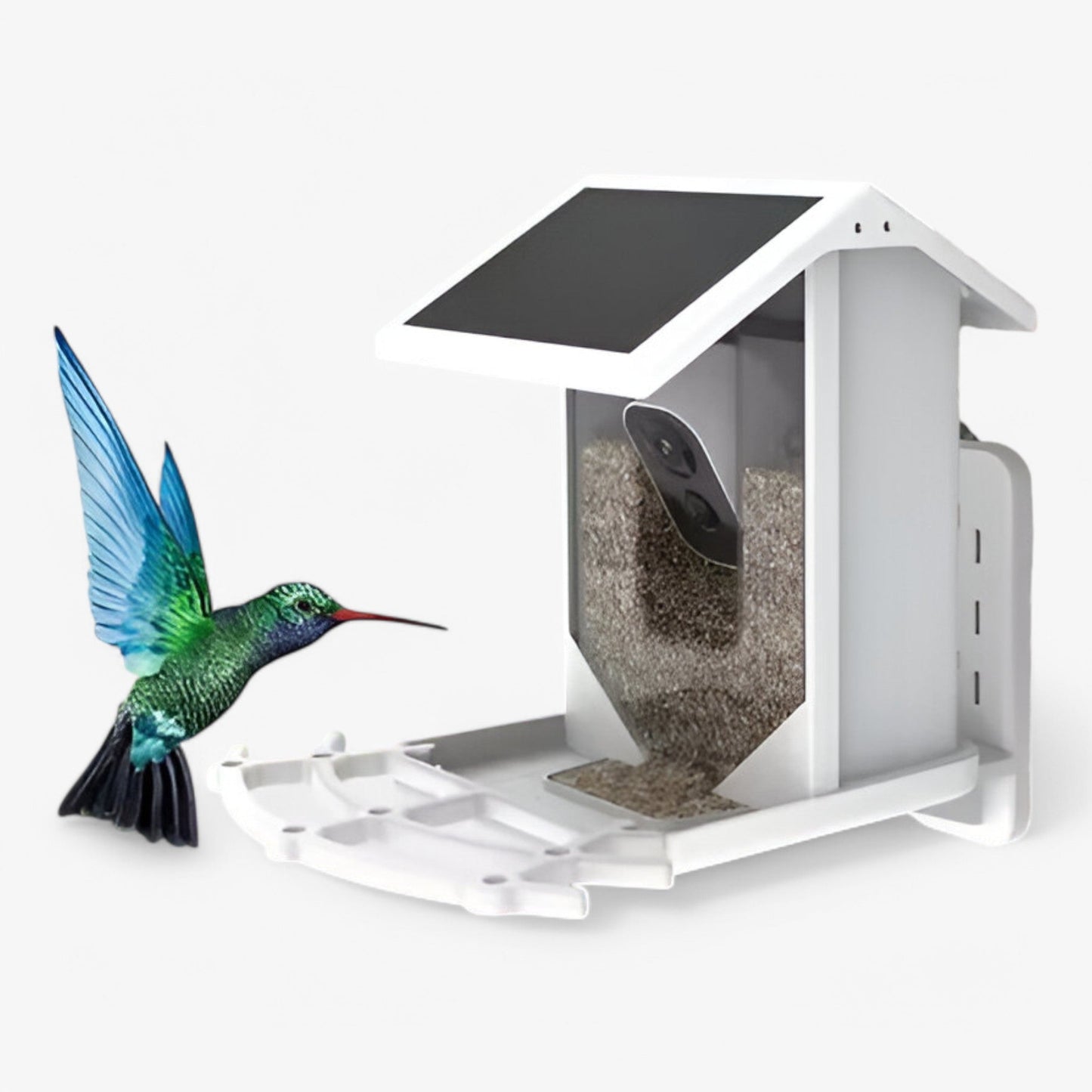 Auxco | Smart Bird Feeder with 1080P HD Camera, AI Bird Recognition & Solar Charging