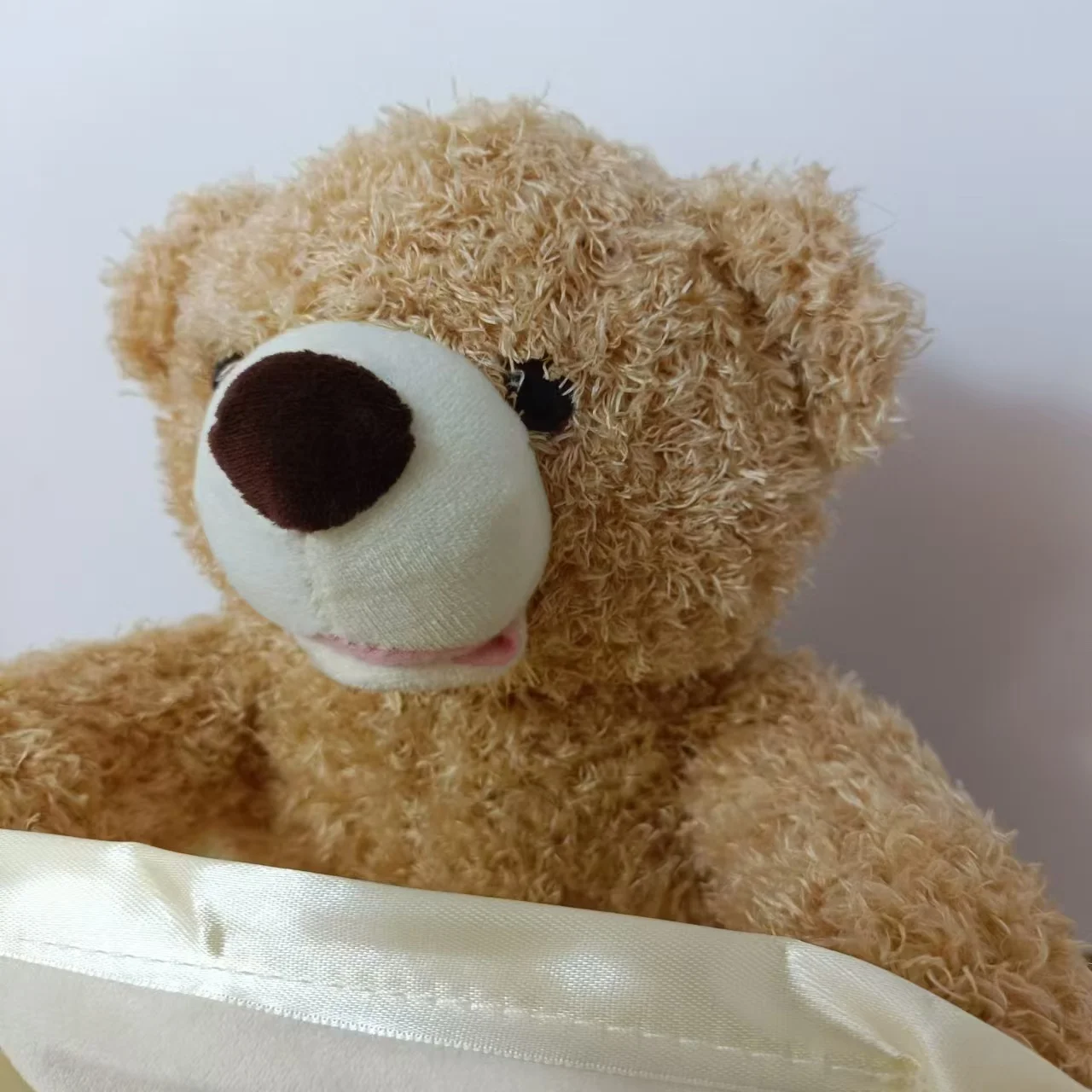 SnuggleBuddy Peek-a-Boo Bear | Interactive Talking Plush Toy for Babies & Toddlers