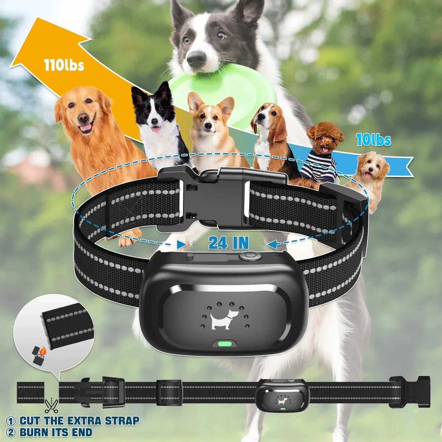 Dog Training Collar with Remote – Shock Lock, Sound & Vibration Modes, Waterproof, 1600ft Range