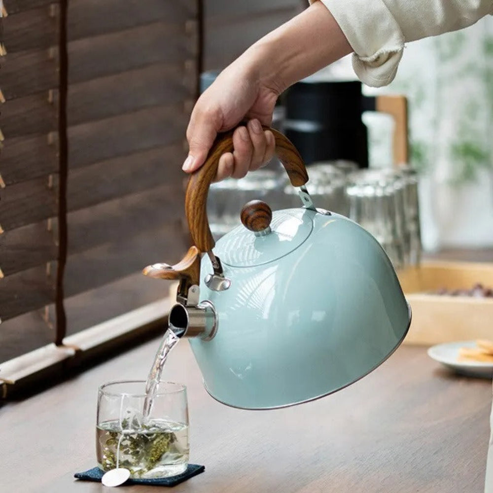 Velvettle Stainless Steel Whistling Kettle – Elegant Design, Fast Boil & Induction Compatible (3L)
