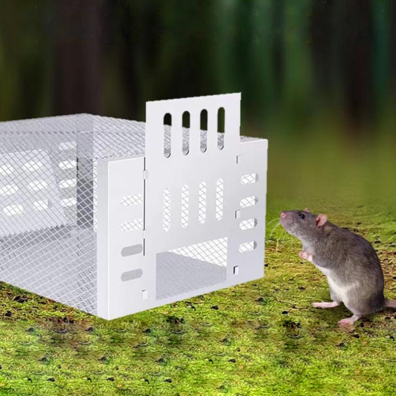 Humane Mouse Trap for Safe & Effective Pest Control – Reusable Large Capacity