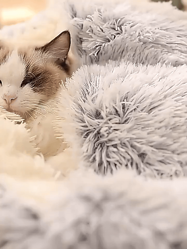 Cozy Cave Pet Bed | Calming & Comfortable Dog Bed for Deep Relaxation