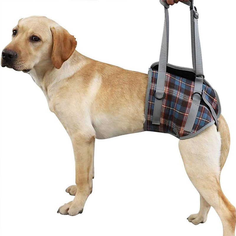 Orthopedic Rear Leg Support Harness for Dogs – Ideal for Arthritis, Hip Dysplasia & Mobility Aid