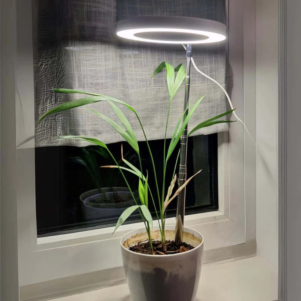 GrowGlow Adjustable LED Plant Lamp – Full Spectrum Grow Light with Timer & USB Power