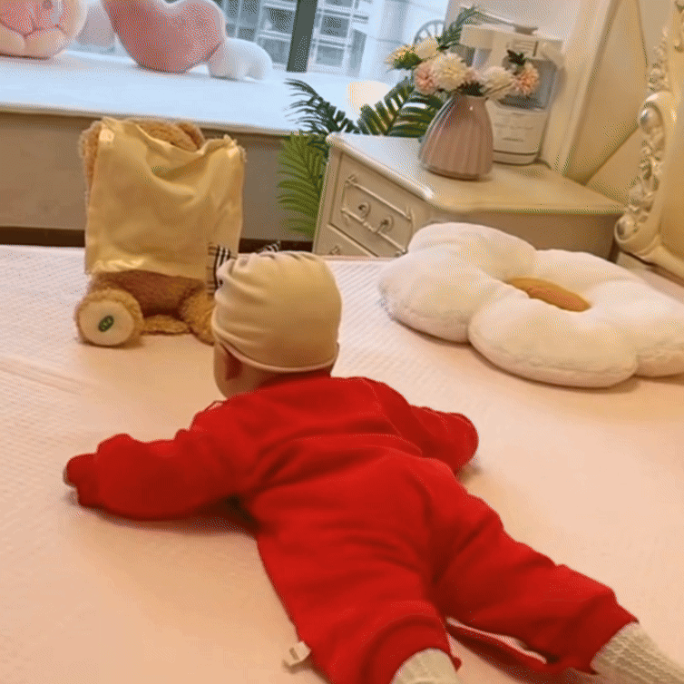 SnuggleBuddy Peek-a-Boo Bear | Interactive Talking Plush Toy for Babies & Toddlers