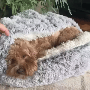 Cozy Cave Pet Bed | Calming & Comfortable Dog Bed for Deep Relaxation