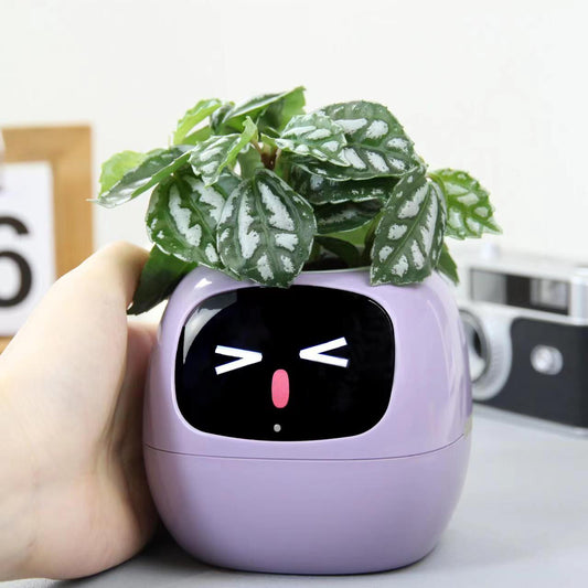 VerdeGlow – Self-Watering Smart Plant Pot | Automatic Irrigation | Modern Indoor Planter