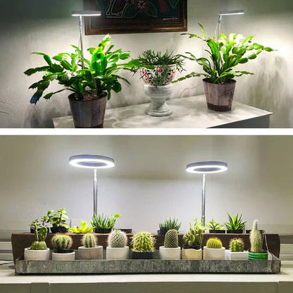 GrowGlow Adjustable LED Plant Lamp – Full Spectrum Grow Light with Timer & USB Power