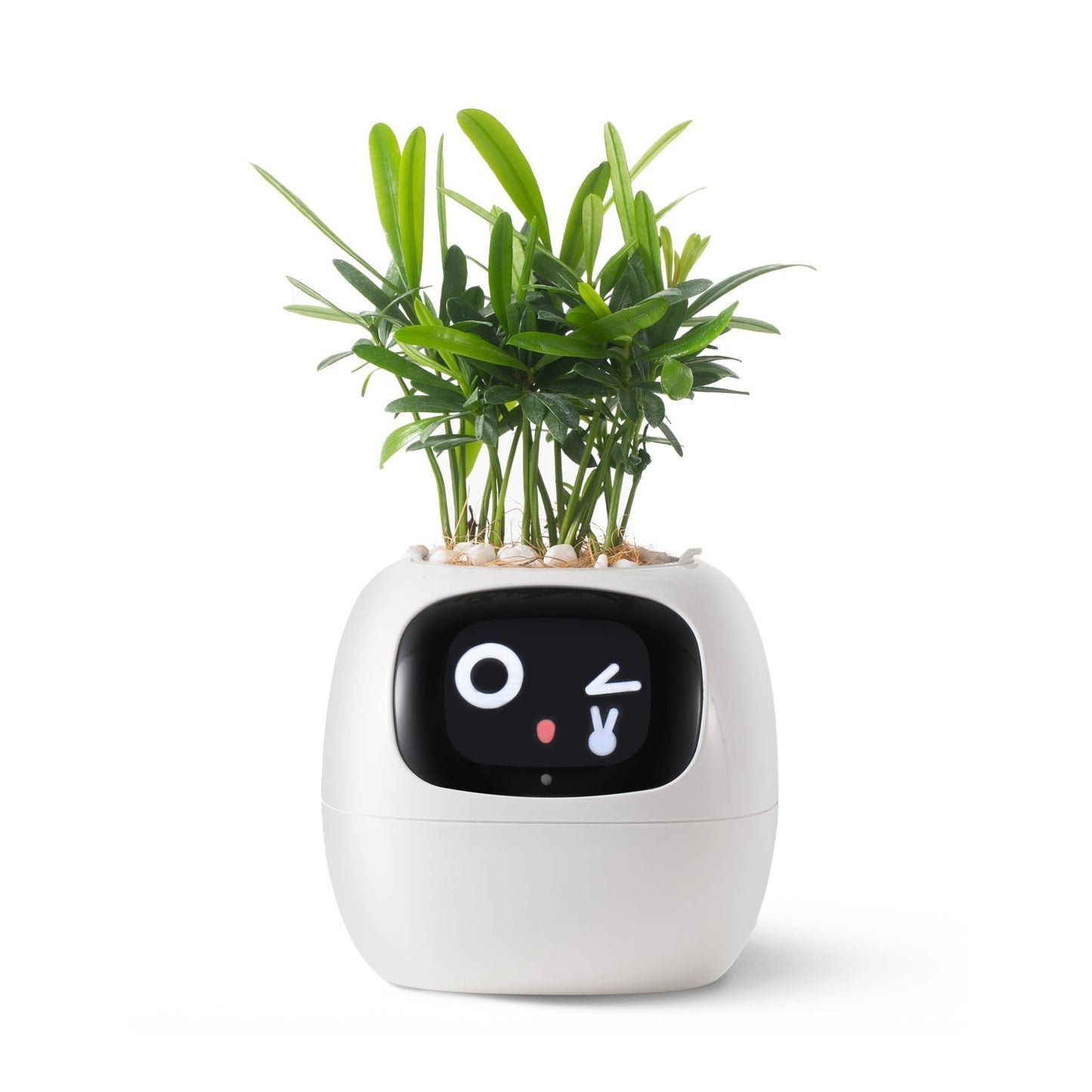 VerdeGlow – Self-Watering Smart Plant Pot | Automatic Irrigation | Modern Indoor Planter