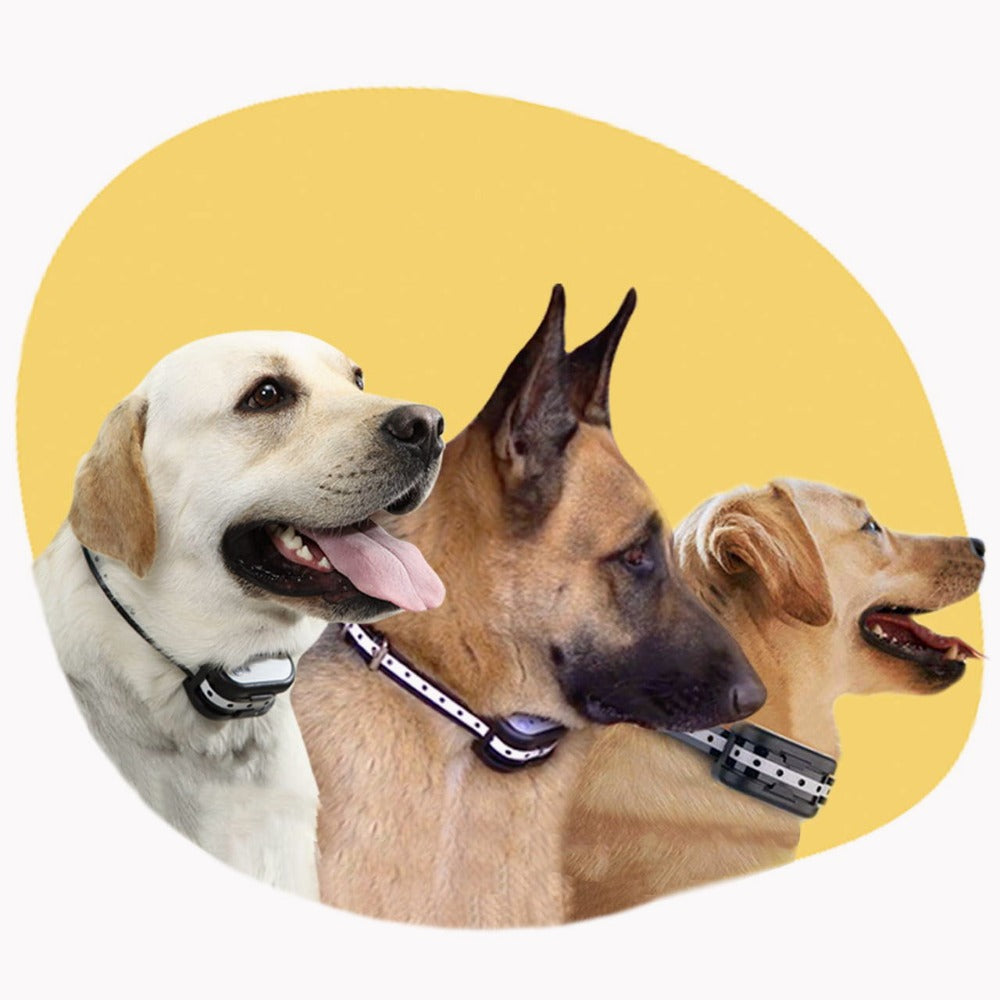SafeZone Wireless Dog Fence & Training Collar – Rechargeable, Waterproof & Pet-Friendly Correction Modes