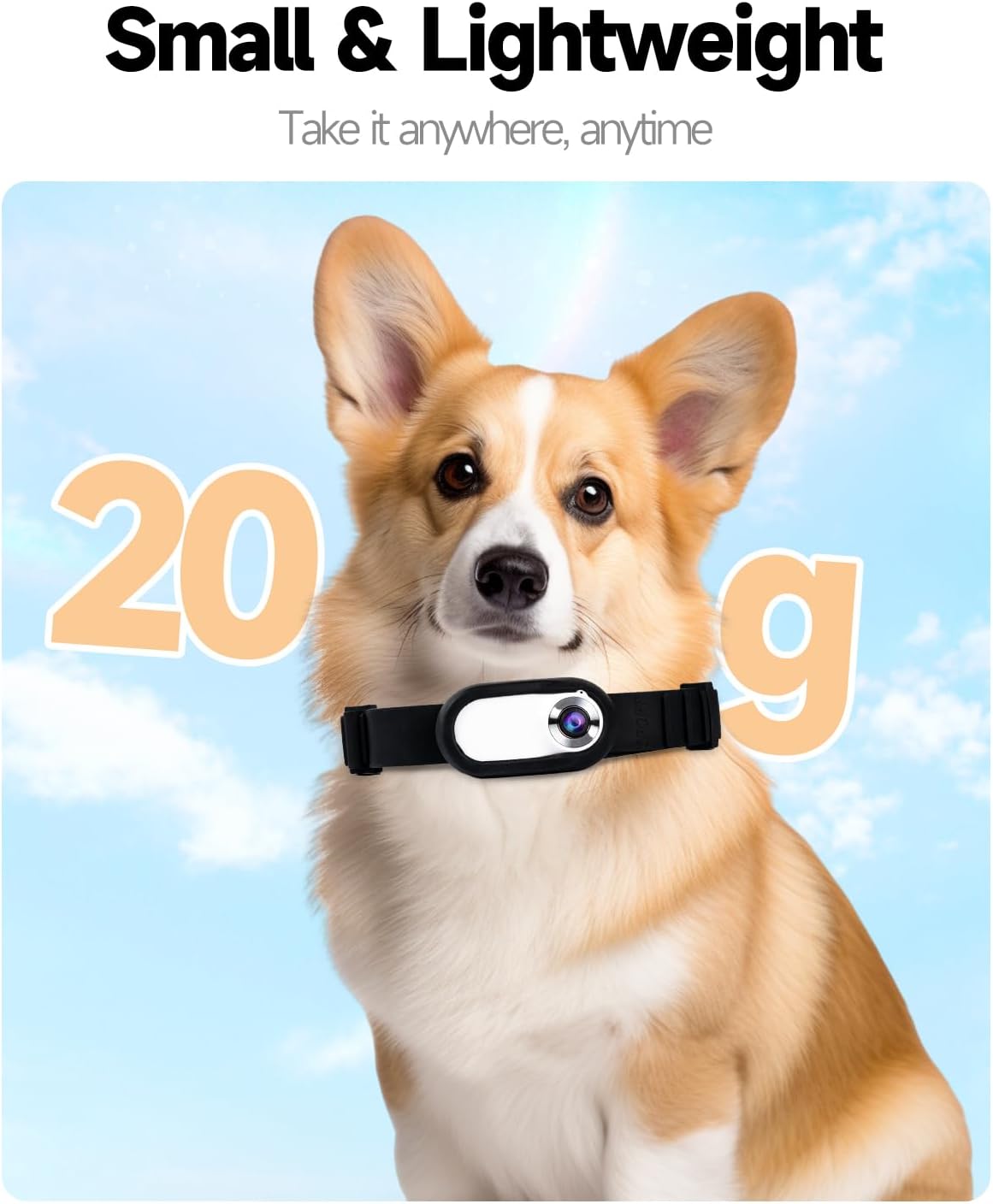 PetCam Collar Camera – HD Mini Recorder for Dogs & Cats