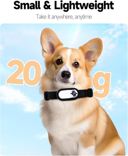 PetCam Collar Camera – HD Mini Recorder for Dogs & Cats