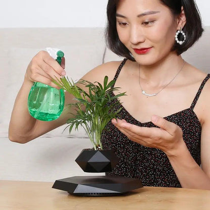Levitate Luxe Bonsai Planter – A Mesmerizing Floating Display