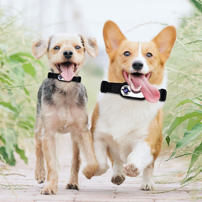 PetCam Collar Camera – HD Mini Recorder for Dogs & Cats