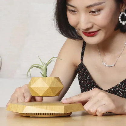 Levitate Luxe Bonsai Planter – A Mesmerizing Floating Display