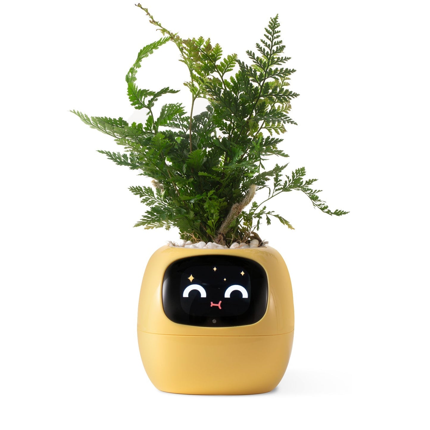 VerdeGlow – Self-Watering Smart Plant Pot | Automatic Irrigation | Modern Indoor Planter