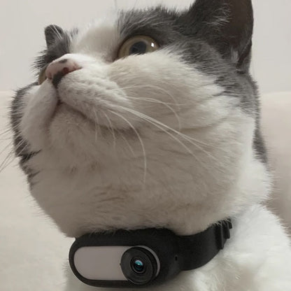 PetCam Collar Camera – HD Mini Recorder for Dogs & Cats