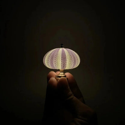 AquaPulse | DIY Sea Urchin Night Light – Custom Decorative Lamp