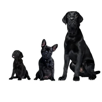 Ultrasonic Dog Repeller – USB Rechargeable Anti-Bark Training Device for All Breeds