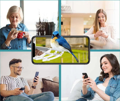 Smart Solar Bird Feeder with Bird Recognition – Weatherproof Garden Feeder