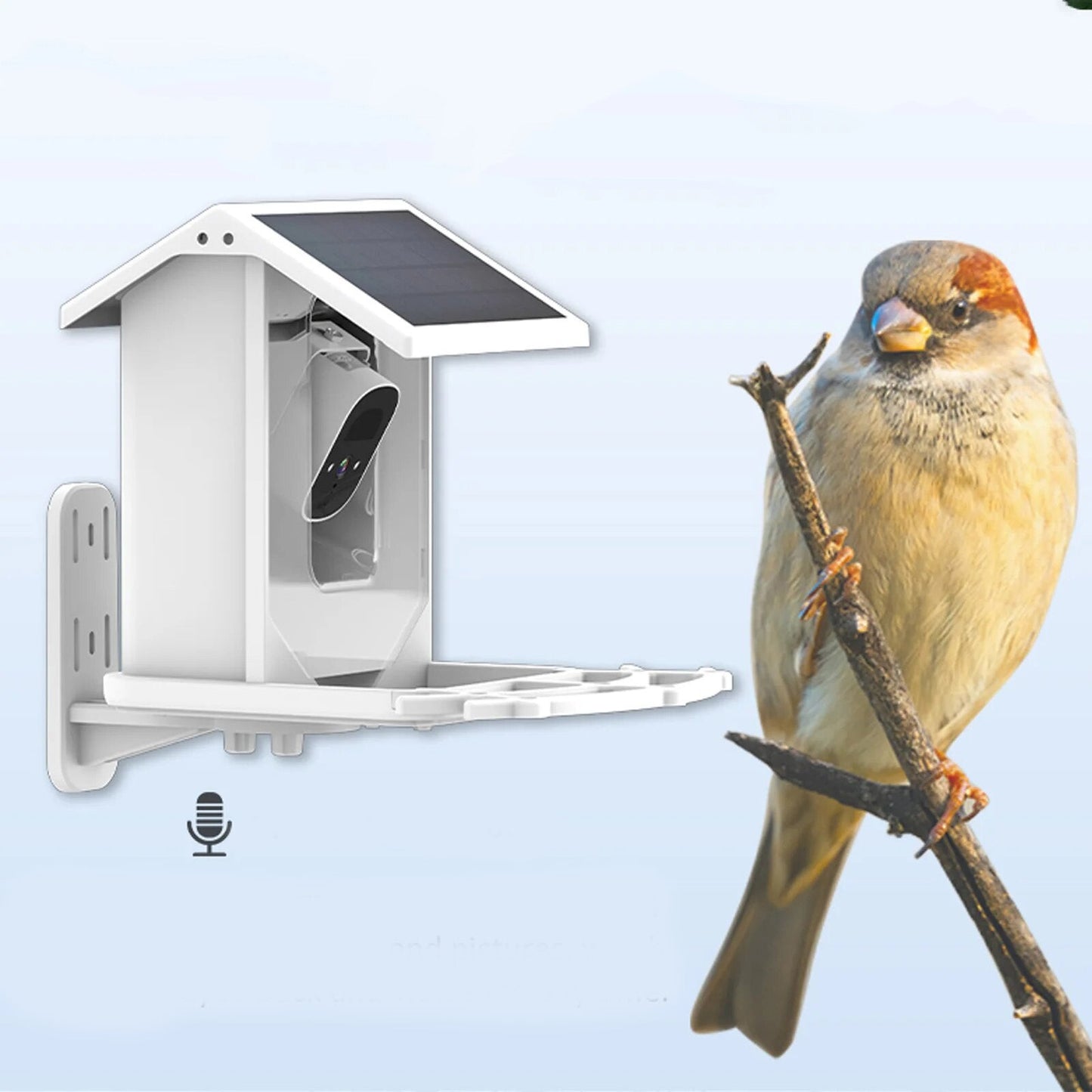 Smart Solar Bird Feeder with Bird Recognition – Weatherproof Garden Feeder