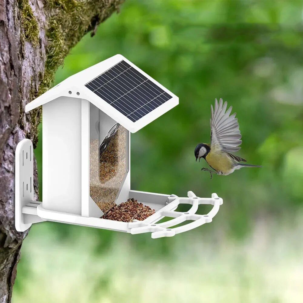 Smart Solar Bird Feeder with Bird Recognition – Weatherproof Garden Feeder