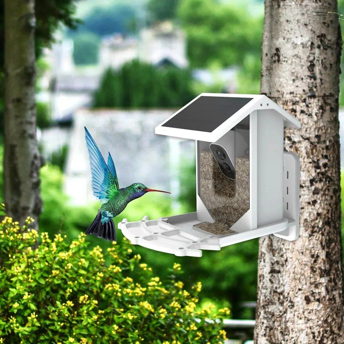 Smart Solar Bird Feeder with Bird Recognition – Weatherproof Garden Feeder