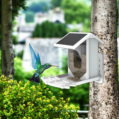 Smart Solar Bird Feeder with Bird Recognition – Weatherproof Garden Feeder