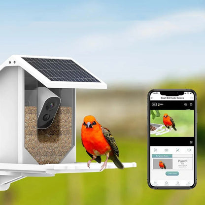 Smart Solar Bird Feeder with Bird Recognition – Weatherproof Garden Feeder
