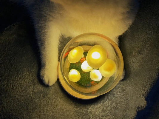 Enchanted Mushroom DIY Glass Lamp Kit – Create Your Own Magical Night Light