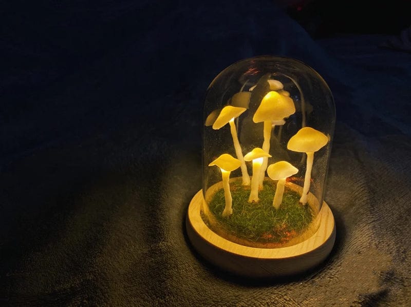Enchanted Mushroom DIY Glass Lamp Kit – Create Your Own Magical Night Light
