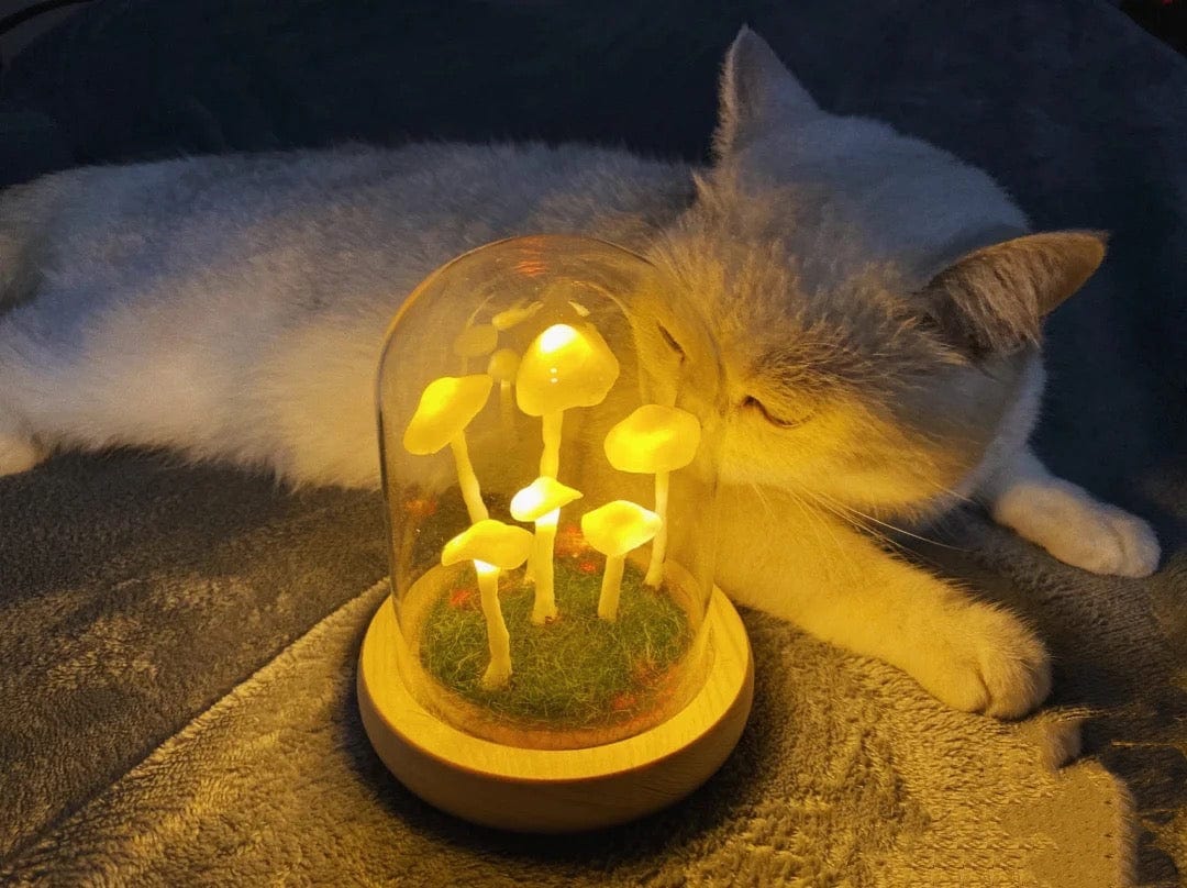 Enchanted Mushroom DIY Glass Lamp Kit – Create Your Own Magical Night Light