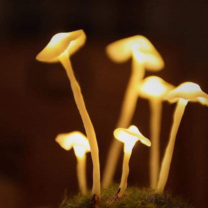Enchanted Mushroom DIY Glass Lamp Kit – Create Your Own Magical Night Light